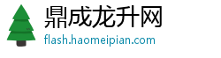 鼎成龙升网